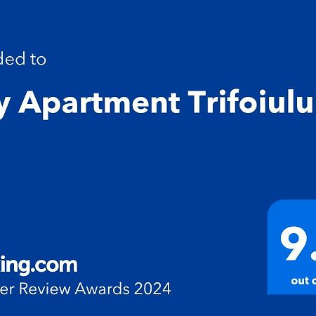 City Apartment Trifoiului Kluż-Napoka Zewnętrze zdjęcie