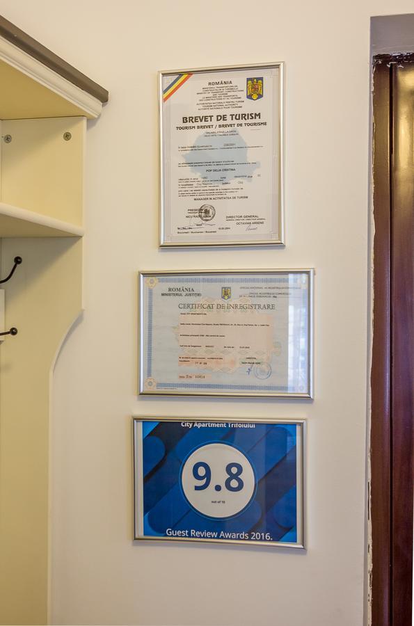 City Apartment Trifoiului Kluż-Napoka Zewnętrze zdjęcie